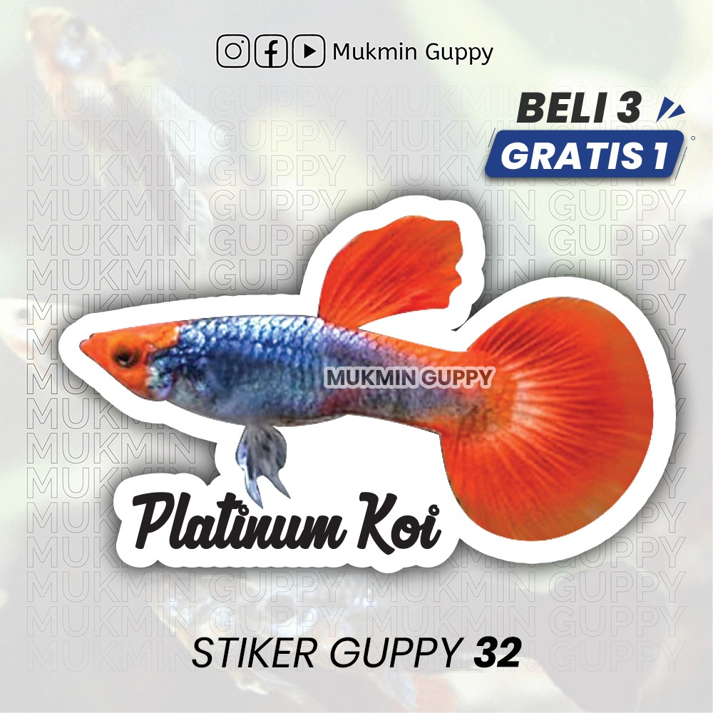 

Stiker Guppy (19) Platinum Koi