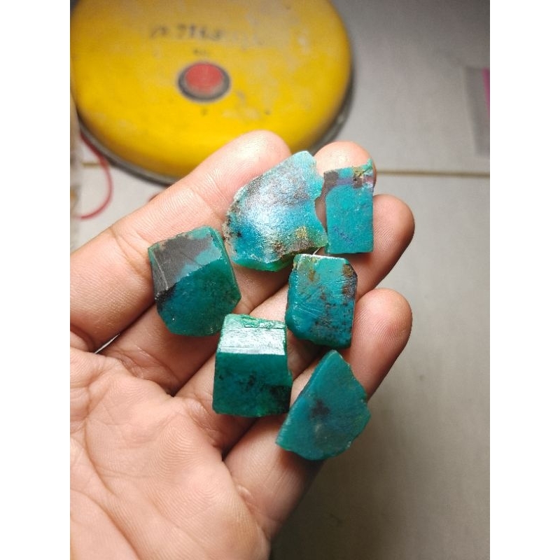 bacan bodi enak semua