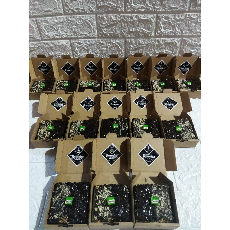 

browniesmini#brownisfudgy