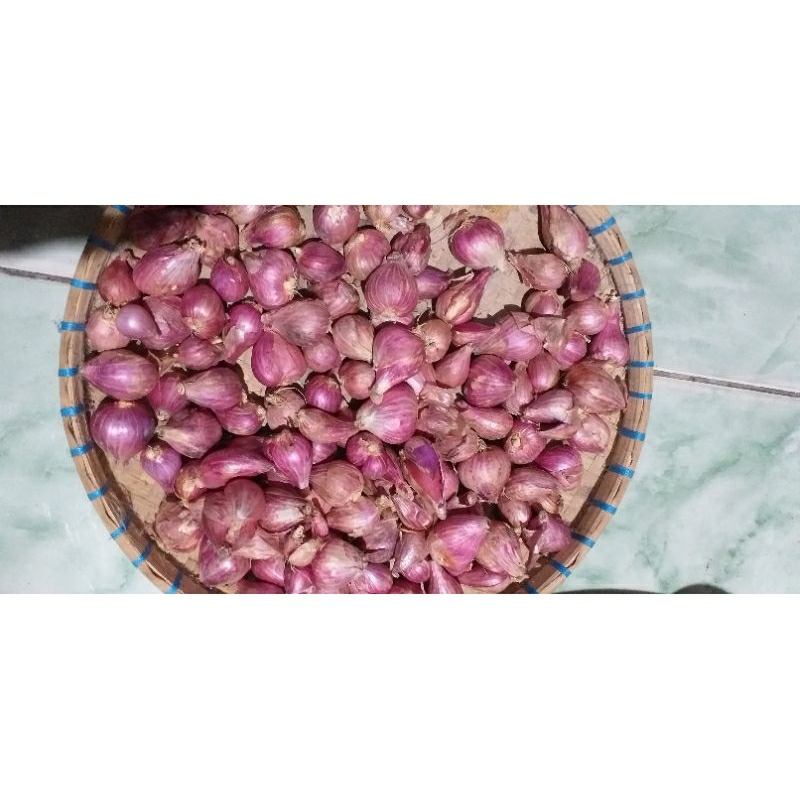

Bawang Merah Besar berat 1000gr (1kg)
