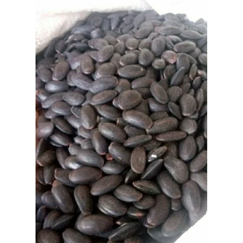 

Biji kedawung 500grm