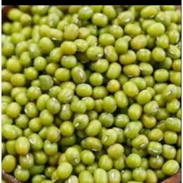 

1 Kg Kacang hijau kualitas super/ bibit kacang hijau siap tanam / kacang ijo lokal super