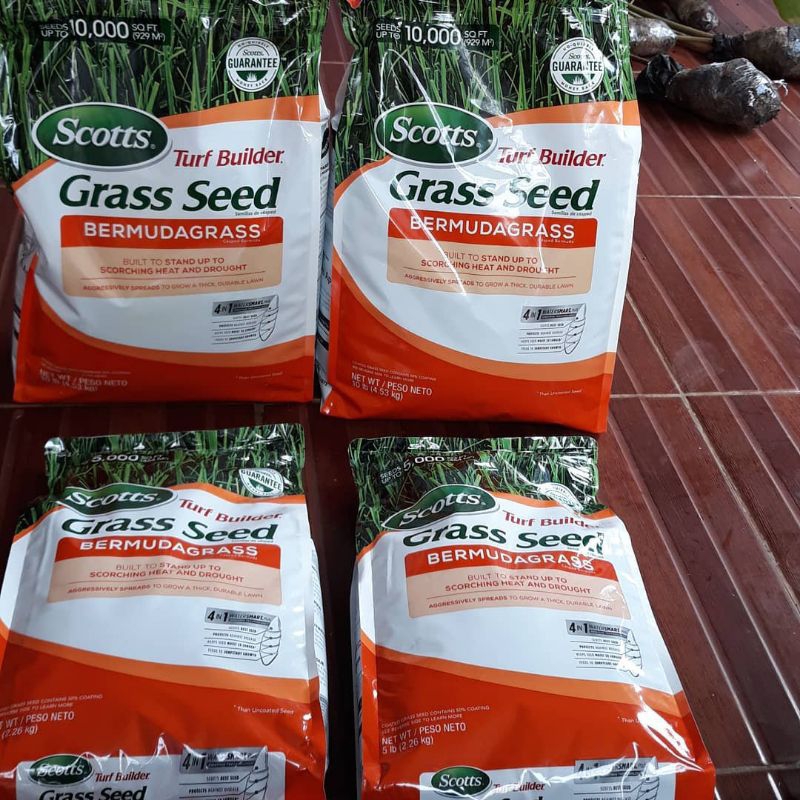 Benih rumput taman - biji rumput jepang - bibit rumput swiss