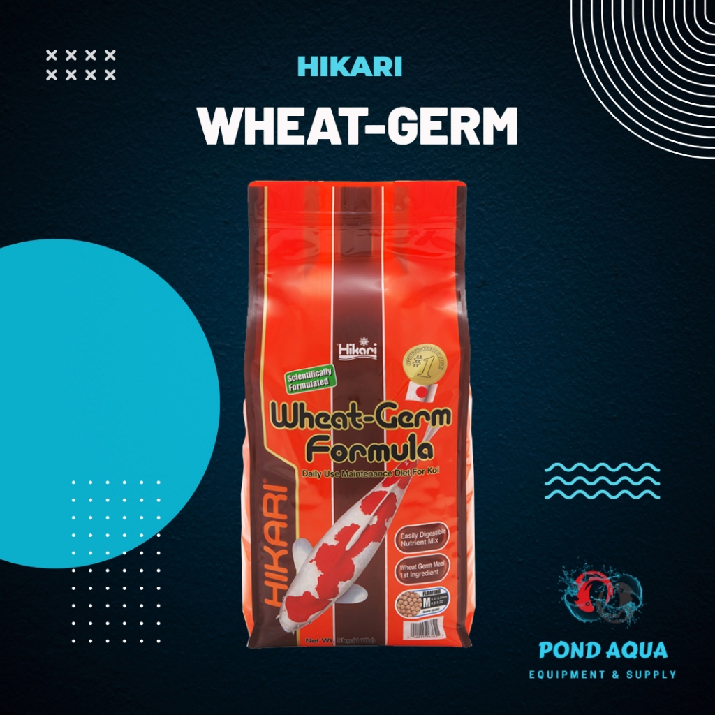 Pakan Hikari Wheatgerm Floating Food Makanan Ikan Koi 5Kg