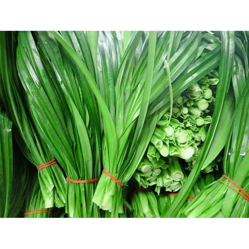 

Daun pandan Fresh per ikat/isi-20-lembar