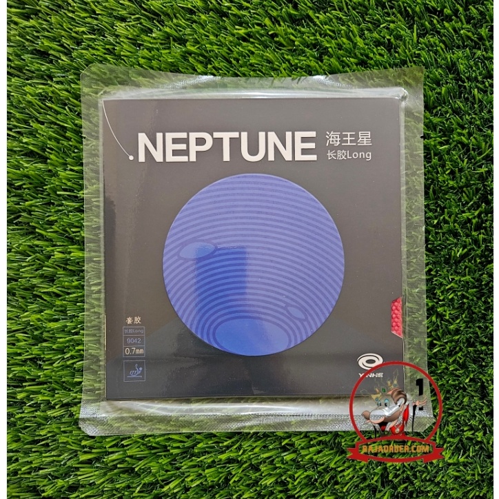 Yinhe Neptune  Long Pips Rubber Karet Bintik Behan Panjang