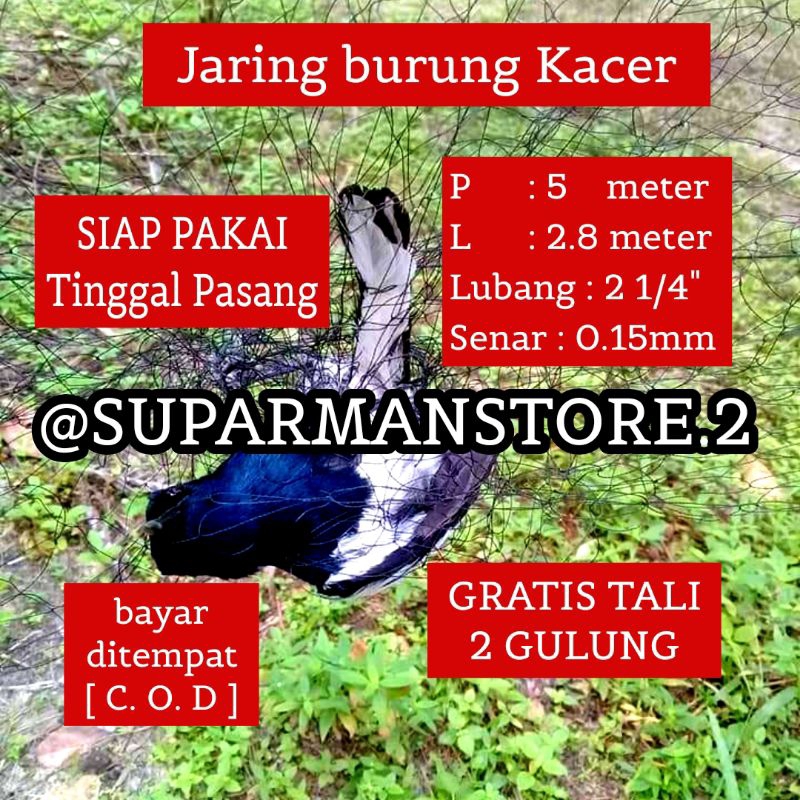 JARING BURUNG KACER 5 METER JARING BURUNG KACER 5X3M SIAP PAKAI JARING JALA JEBAKAN BURUNG KACER REK