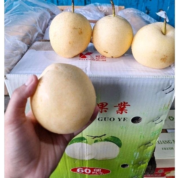 

Buah Pear Centuri @500gr