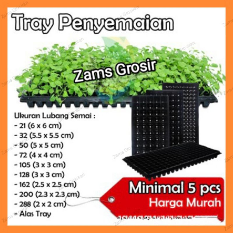 Tray Semai 105 Lubang