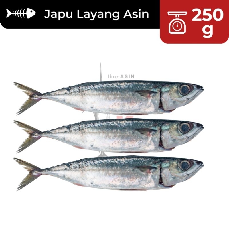 

250g Ikan Asin Japu Layang Asin SUPER / Ikan Asin Layang / Ikan Asin Murah / Ikan Asin Enak