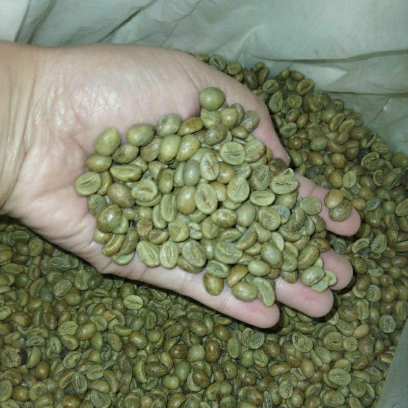 

biji kopi robusta petik merah