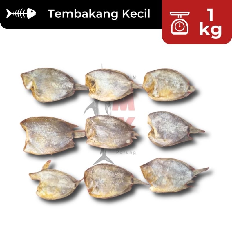 

1kg Tembakang Kecil SUPER / Ikan Asin Tembakang / Ikan Asin Tambak / Ikan Asin Murah / Ikan Asin Enak