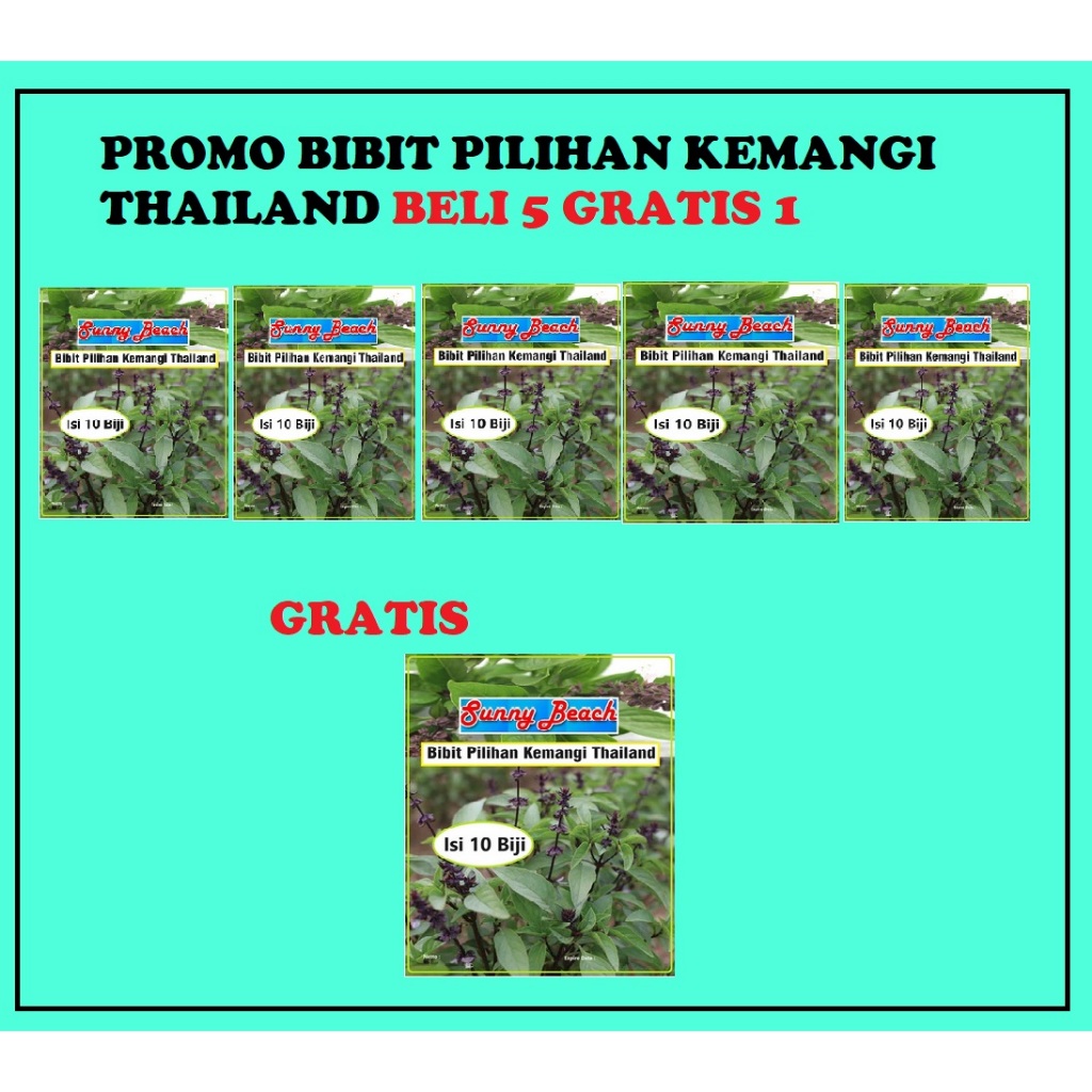 Promo Bibit Pilihan Kemangi Thailand Beli 5 Gratis 1