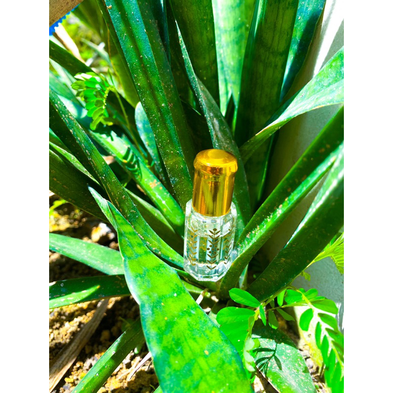 parfum surrati 6ml