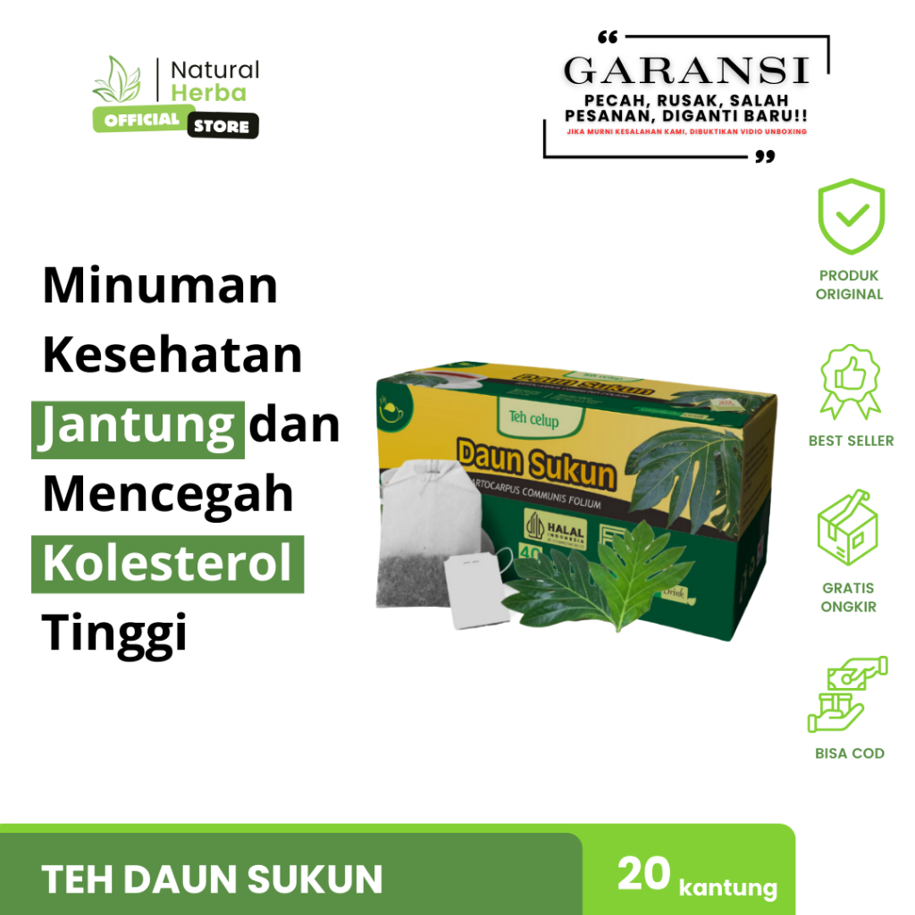 

Minuman Kesehatan Jantung dan Mencegah Kolesterol Tinggi Teh Herbal Daun Sukun