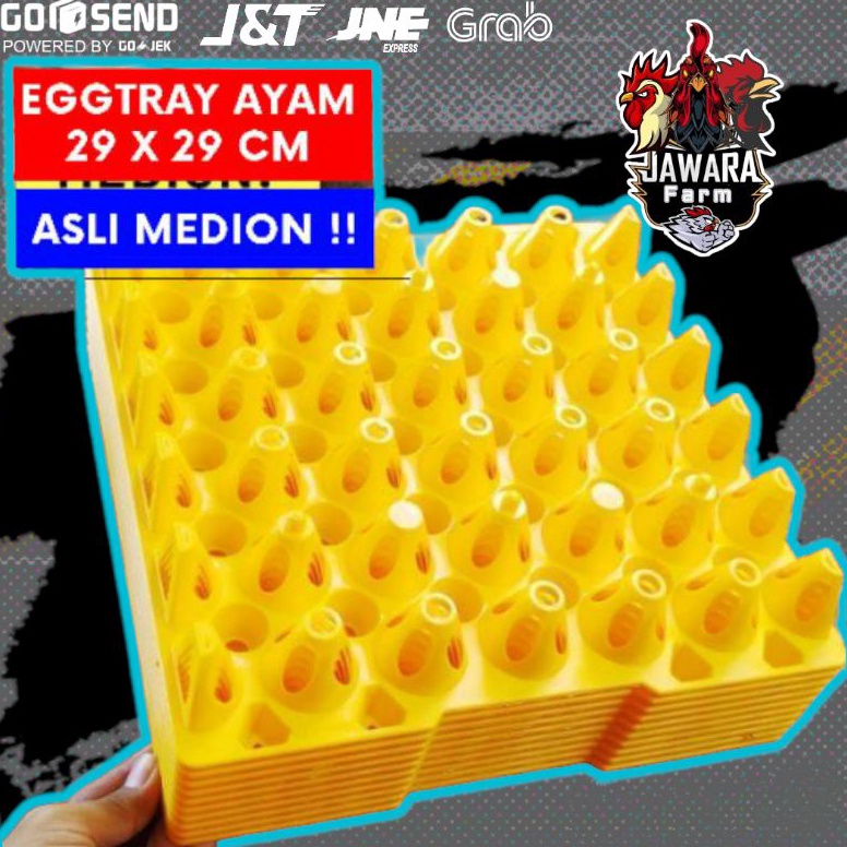 Berkualitas Tempat Telur  Egg Tray Medion 3 Butir GRADE A