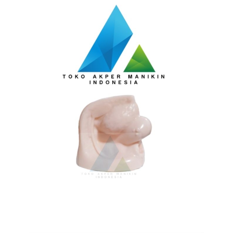 ALAT PERAGA KATETER WANITA SILICON | MANIKIN KATETER WANITA