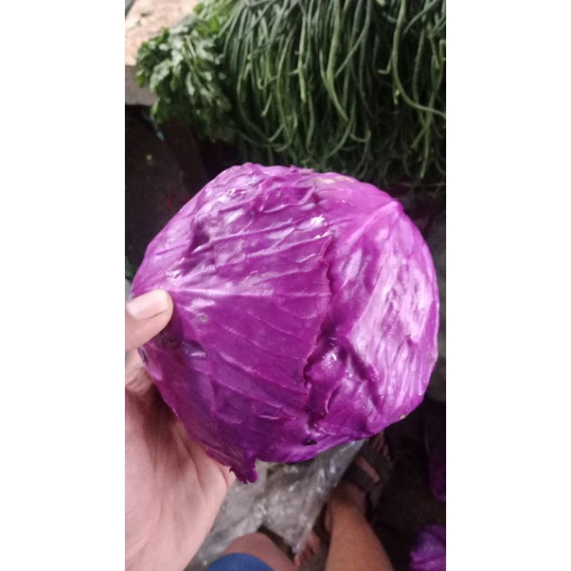 

kol ungu 500gr - 1000gr