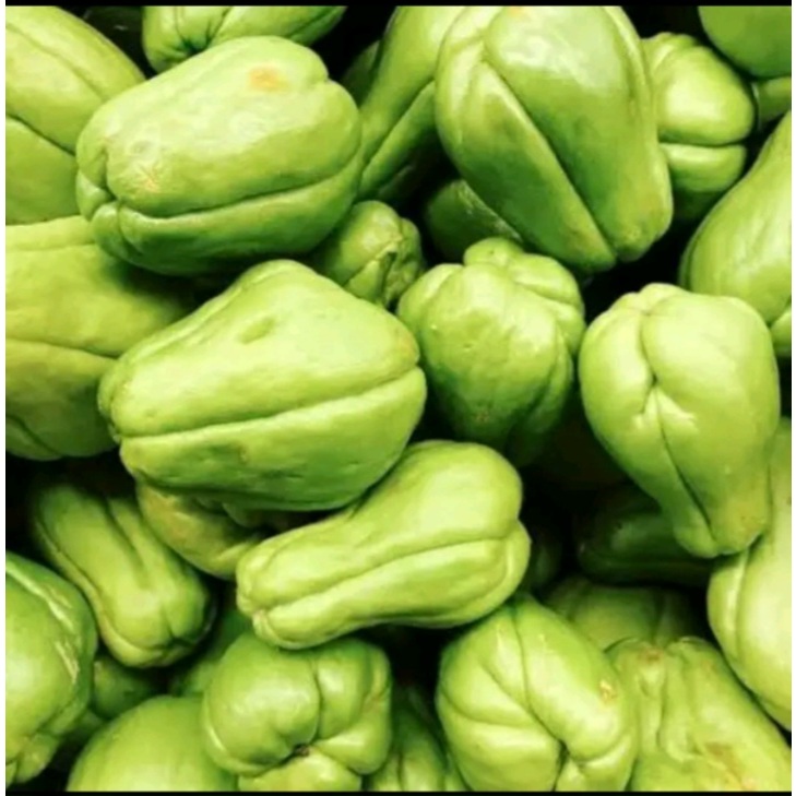 

Waluh/labu sayur/sayur labu 500gram