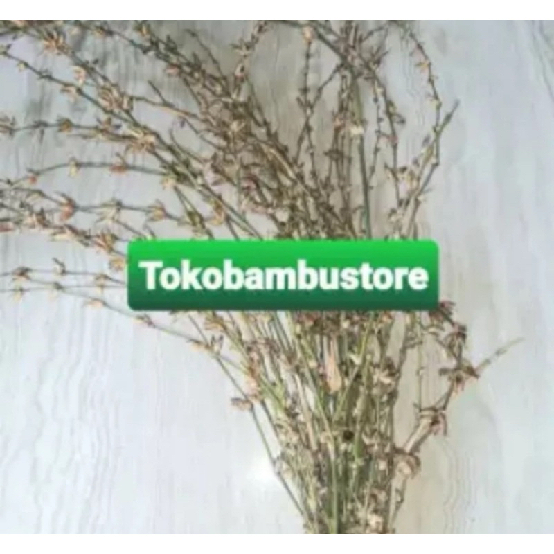 Bunga bambu atau kembang pring perikat isi 15 batang-az