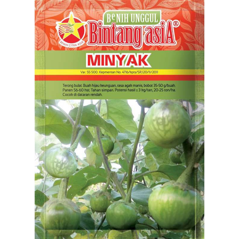 Bibit Benih terong bulat bersari bebas hijau berlurik isi 10 gr Minyak (Bintang Asia)