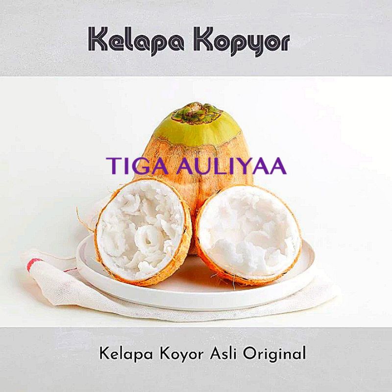 

kelapa kopyor asli Pati UK.43-44cm