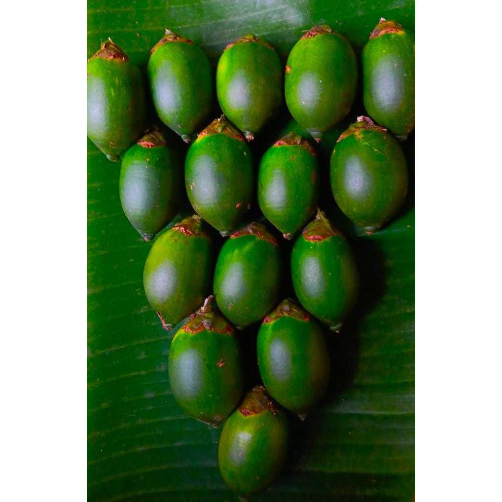 

Pinang muda murah 500 gram