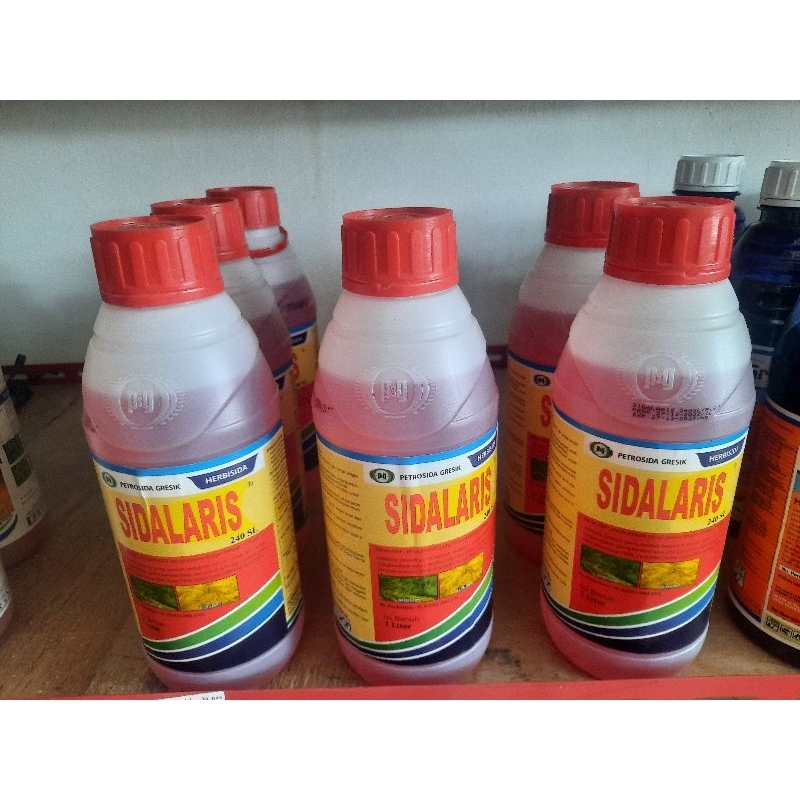 racun rumput sidalaris (sistemik)