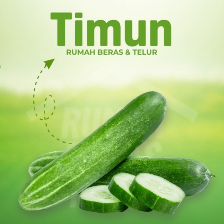

Timun Sayur Segar