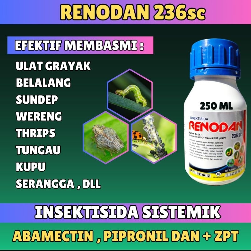 Renodan , 236 sc , Insektisida sistemik + ZPT (Solusi Efektif Membasmi dan Memperbaiki kualitas Tana