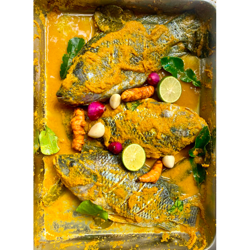 

Ikan Mujair Bumbu Kuning Fresh 500gram 3Ekor Tinggal Goreng