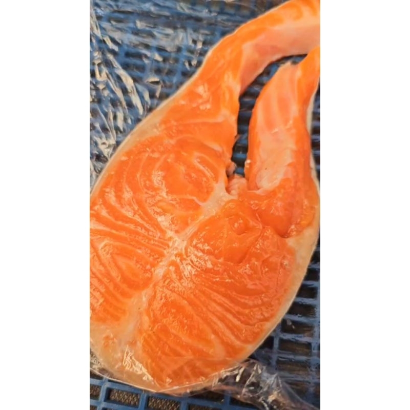 

Salmon Portion Trout