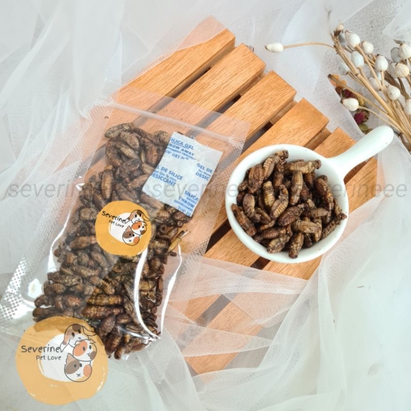 15gr Jangkrik Kering | Dried Cricket snack landak mini sugar glider hamster | camilan hamster | paka