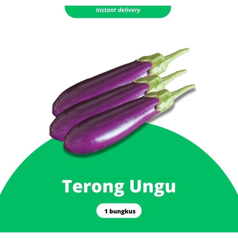 

TERONG UNGU GRADE A