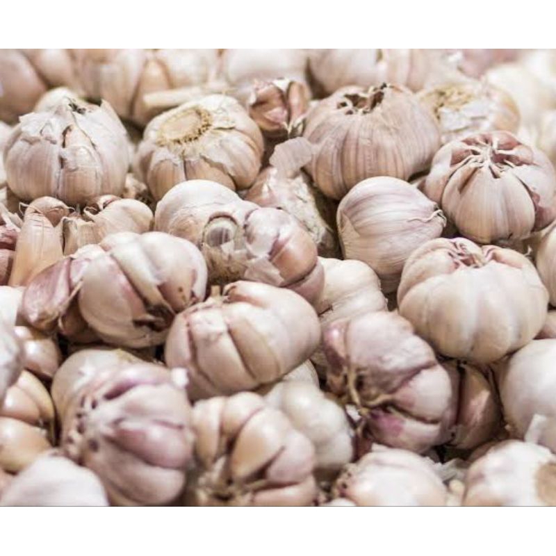 

bawang putih 250gr