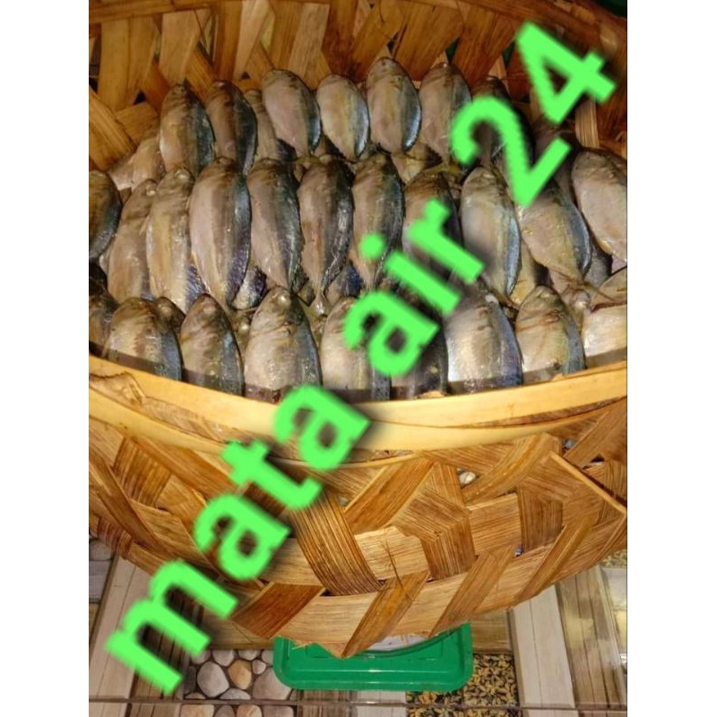 

1 KG. IKAN REBUS GEMBOLO (BARU 100% TANPA PENGAWET). ISI 6 - 10 EKOR.