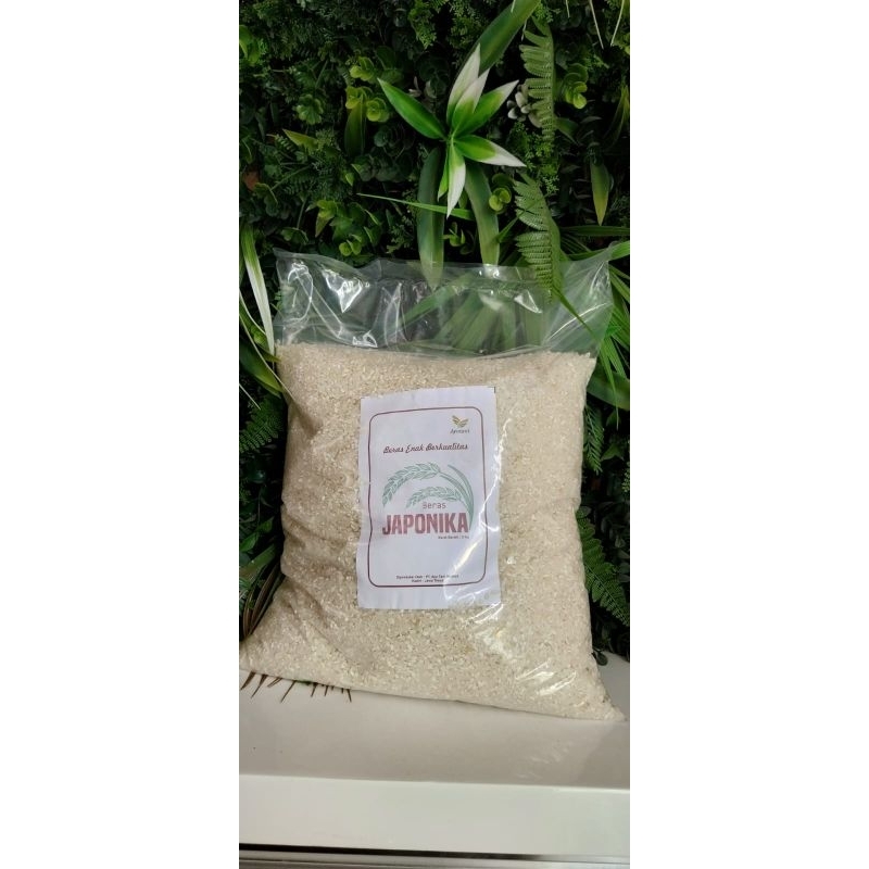 

Beras Jepang Japonica//Beras Sushi Onigiri
