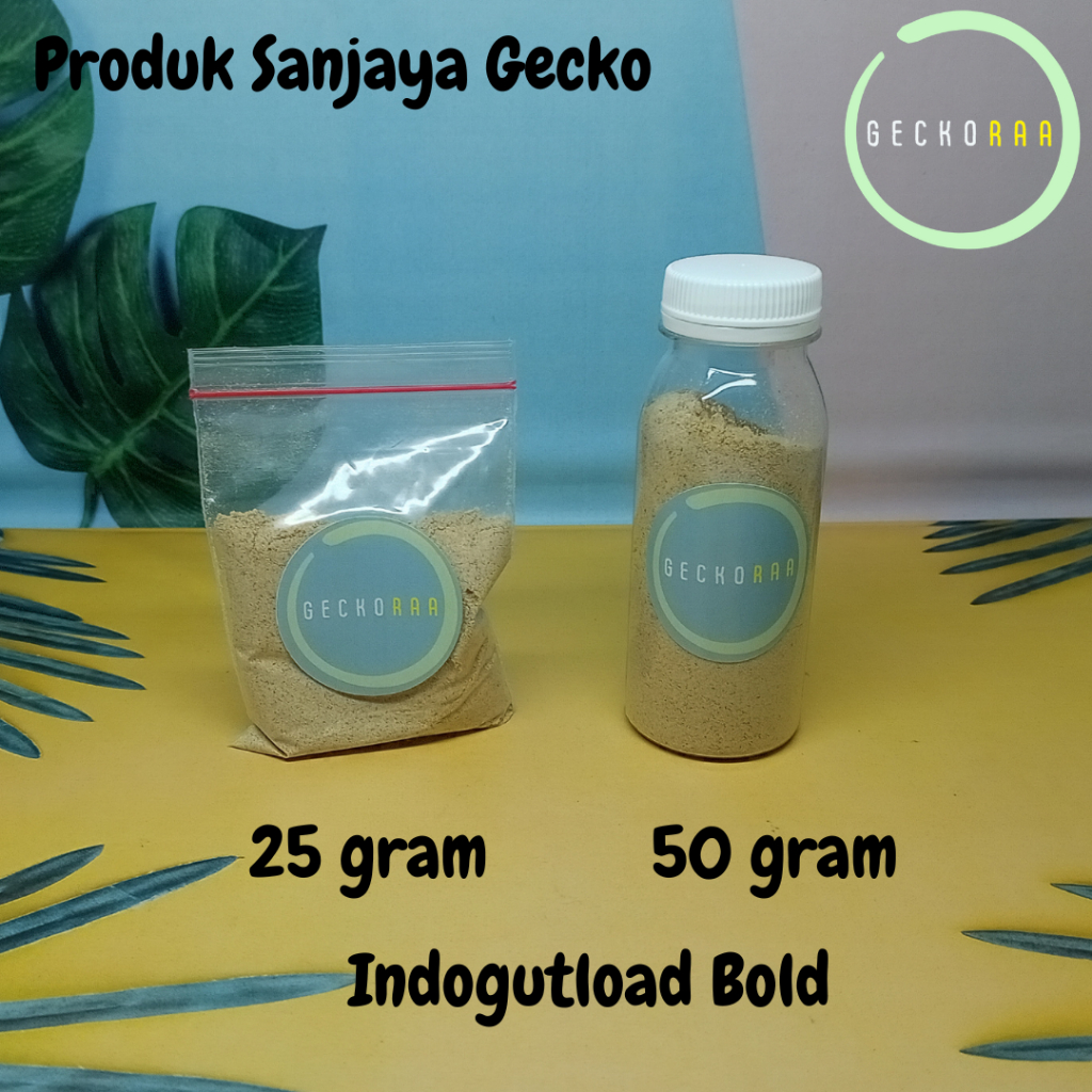 Indogutload Bold Repack Gutload Reptil Gecko AFT Jangkrik Dubia Ulat