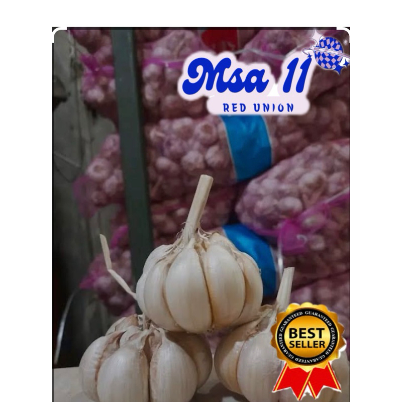 

Bawang putih 250 gram