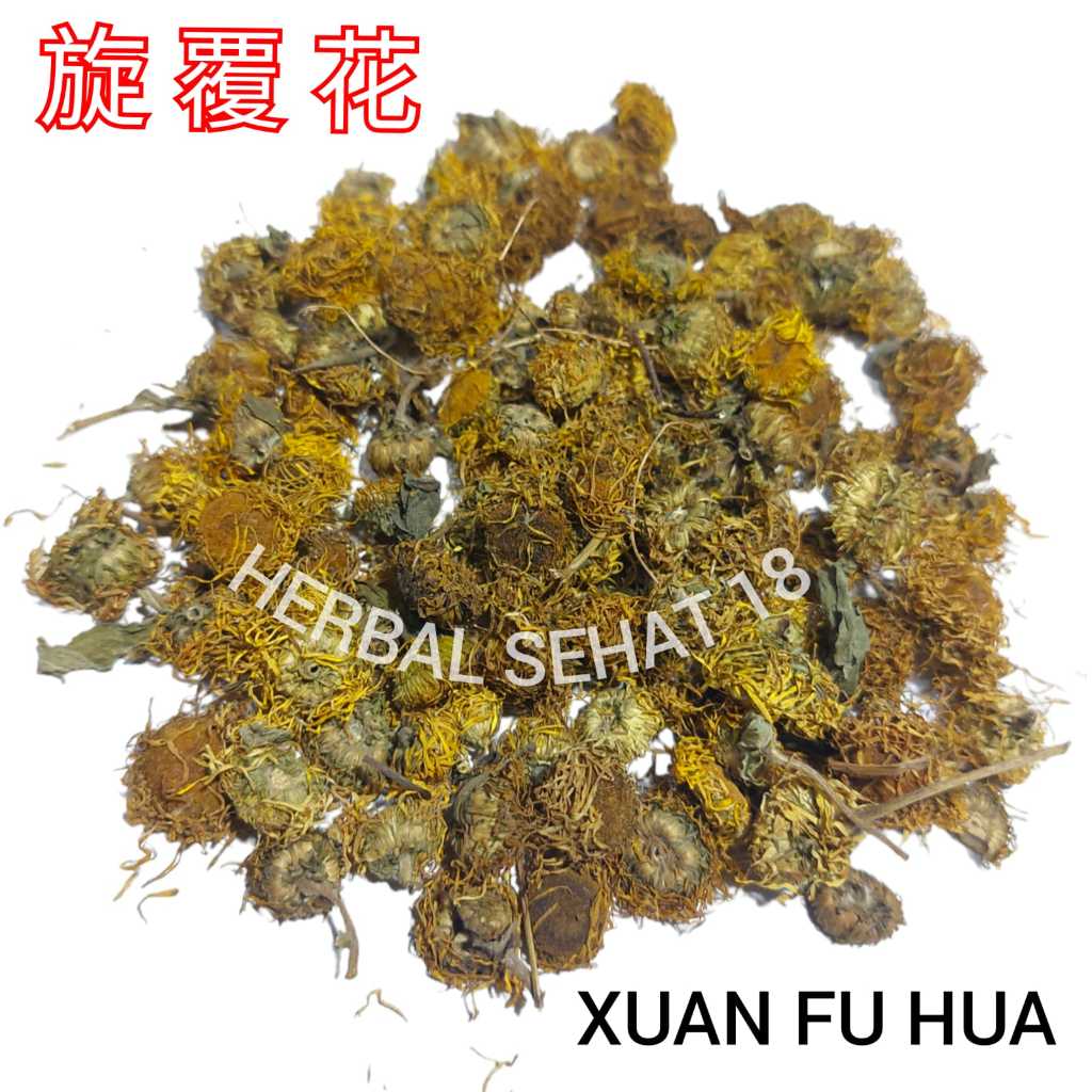 

Xuan Fu Hua 旋覆花 Inula Flower - Inulae Flos