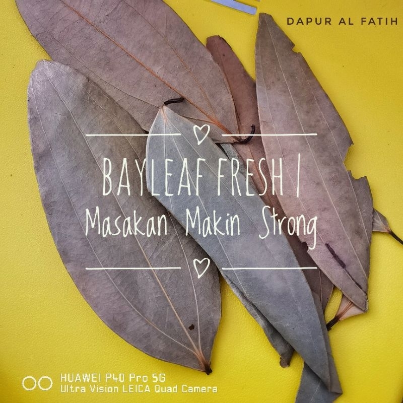 

Bayleaf untuk Nasi Arab seperti Kebuli, Briyani, Kabsah,Mandhi & Bukhori (AGAR LEBIH STRONG)