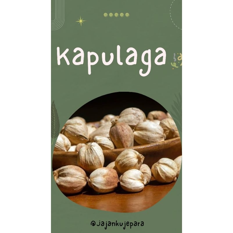 

Jamu Kapulaga kering 100 gr