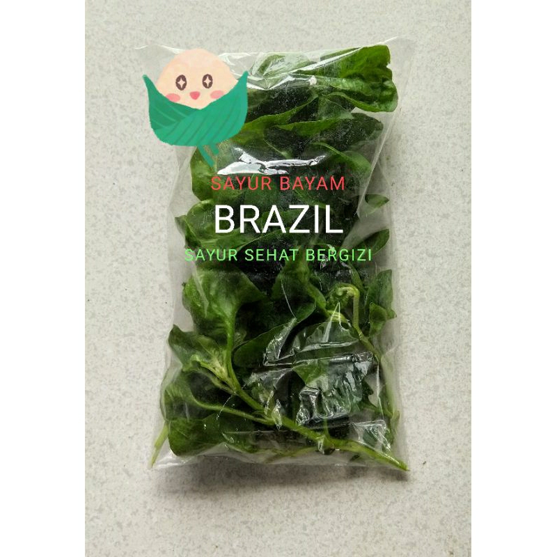 

SAYUR BAYAM BRAZIL