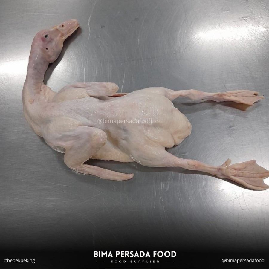 

Bebek Peking Hibrida 1.0 kg Segar Beku