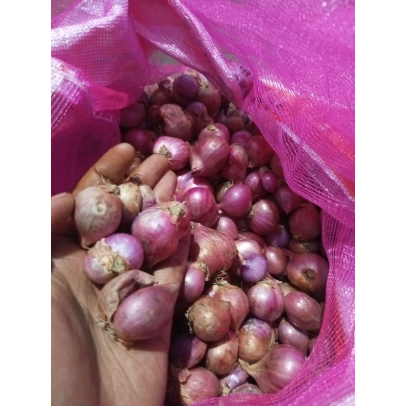 

Bawang Merah Sulawesi