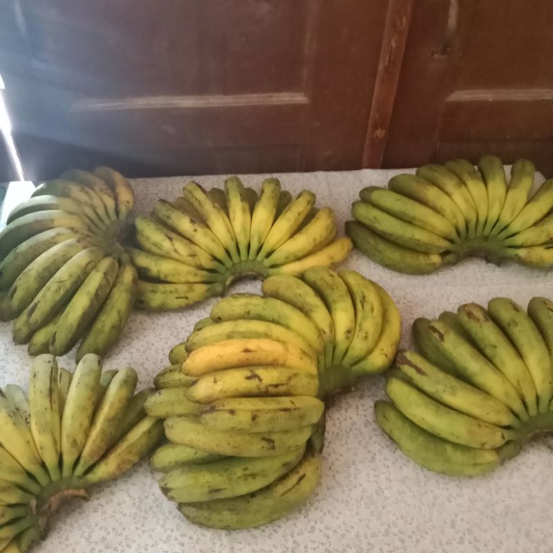 

PisangBarangan