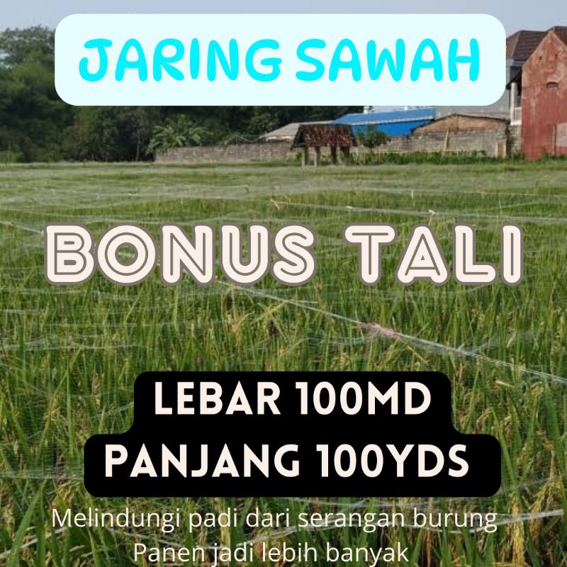 jaring sawah jaring burung siap di pakai BONUS TALI JARING PADI jaring burung emprit jaring perangka