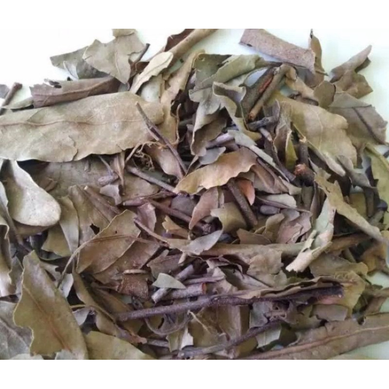 

Benalu jeruk nipis kering organik 500 gram-az