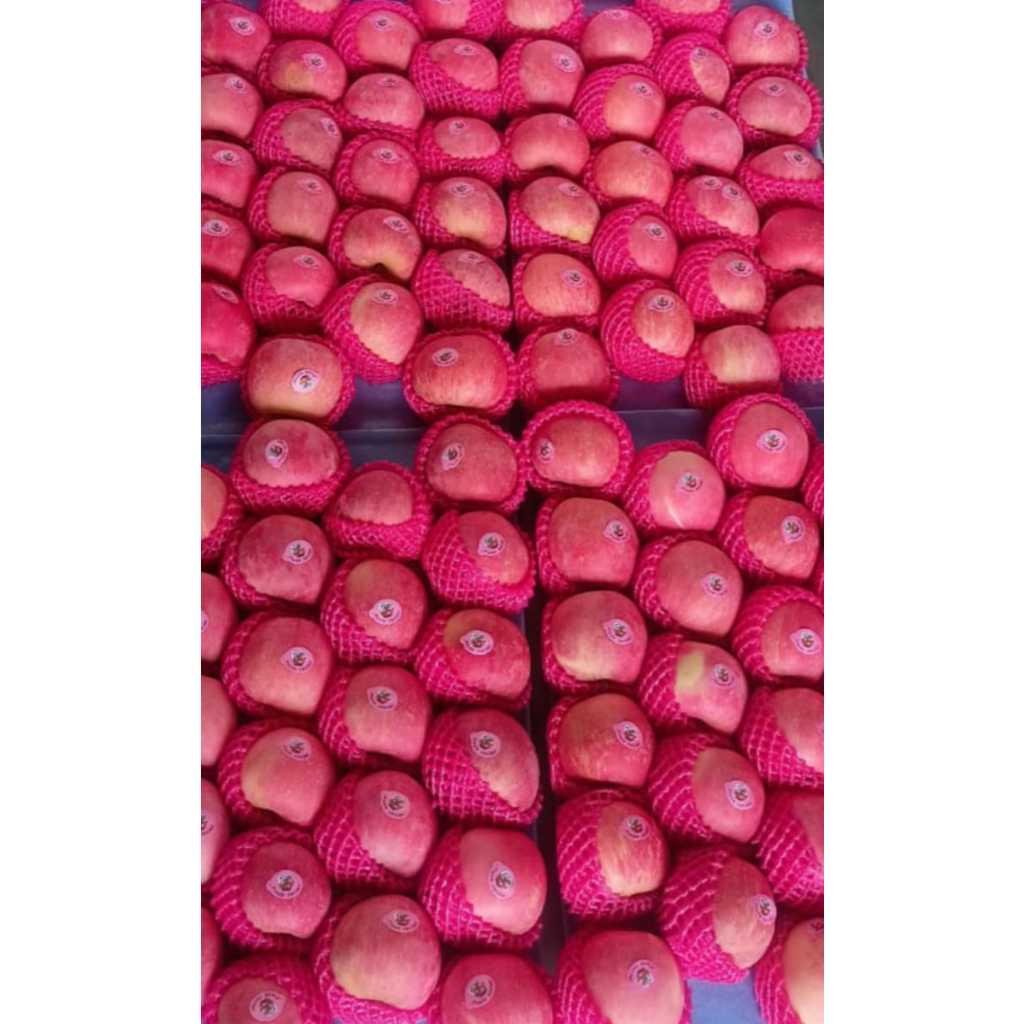 

Apel Fuji Blush