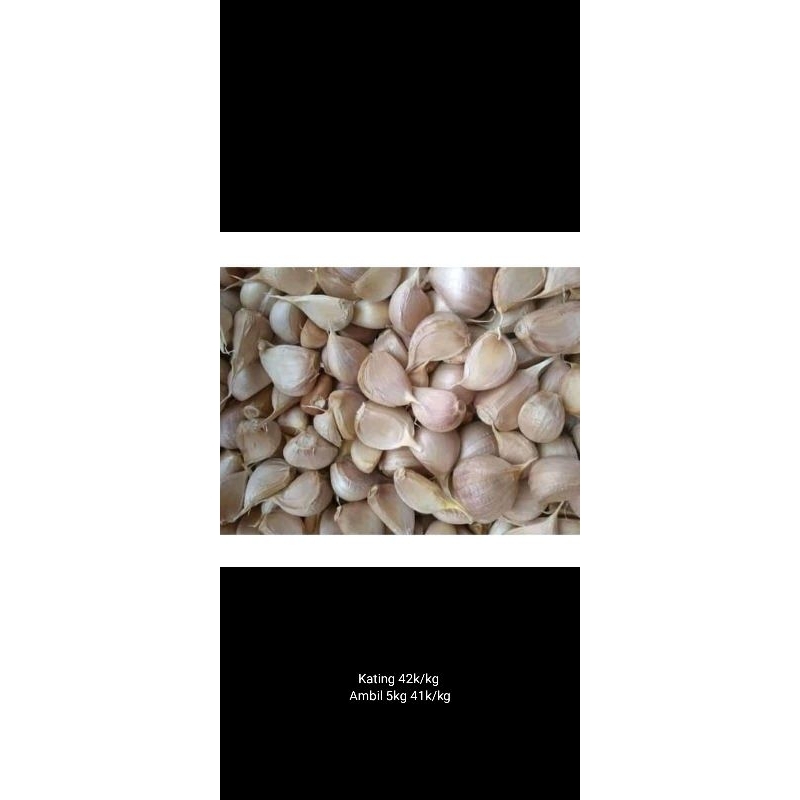 

bawang putih kating 1kg
